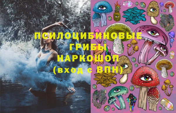 mdpv Бородино