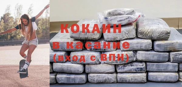mdpv Бородино