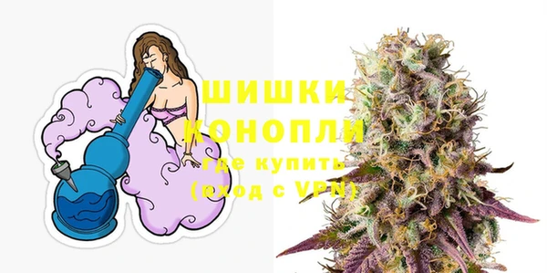 крисы Богородск